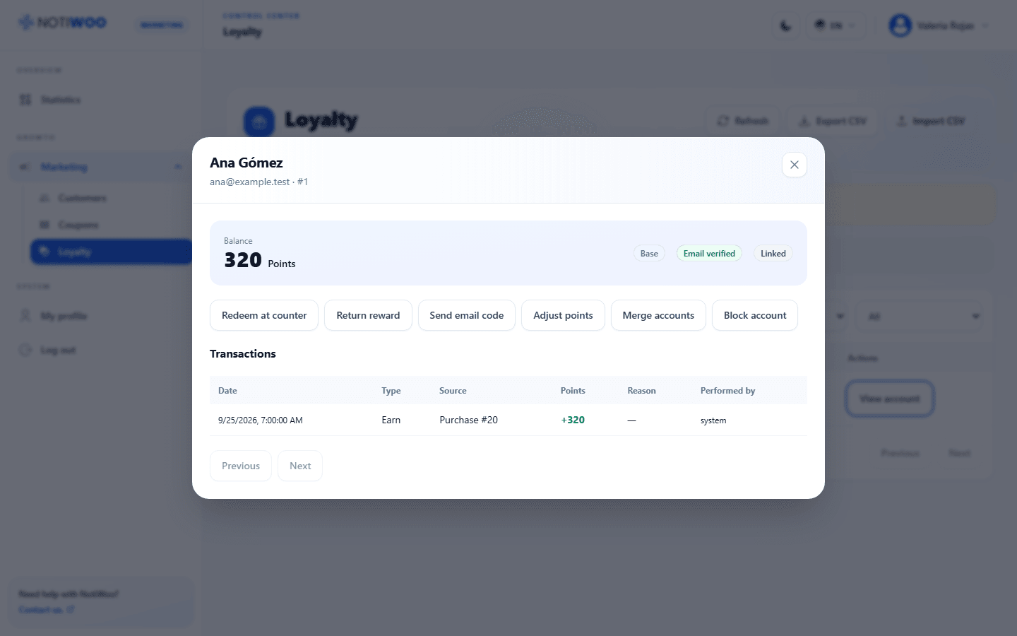 Account balance and ledger